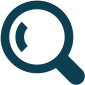 Search Icon